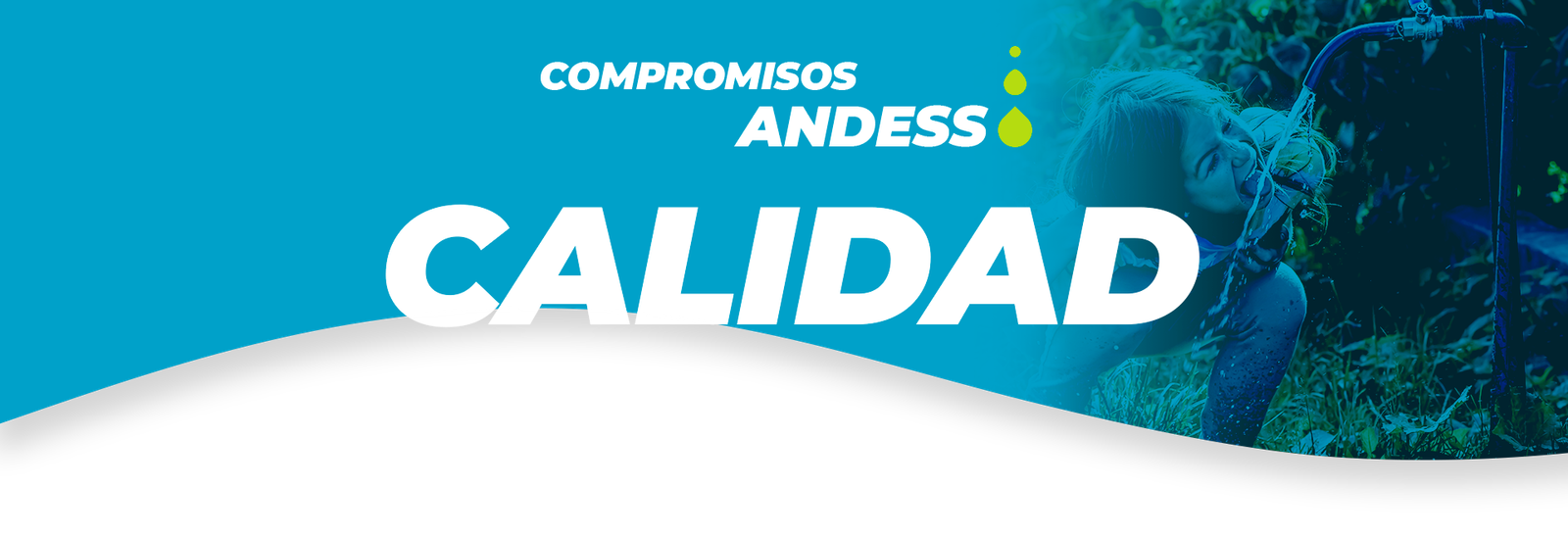 calidad_titulo